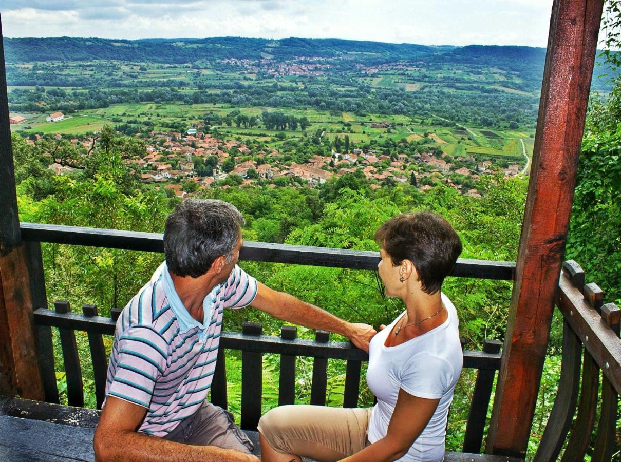 Vila Milenovic Rajacke Pivnice Esterno foto