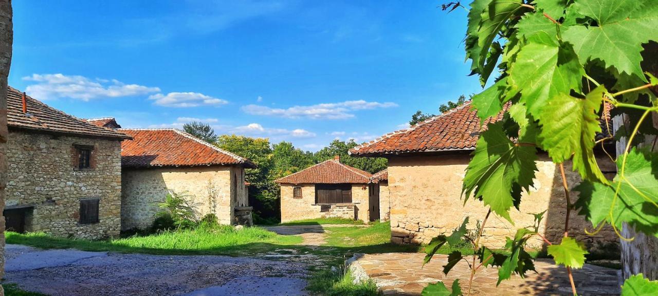 Vila Milenovic Rajacke Pivnice Esterno foto