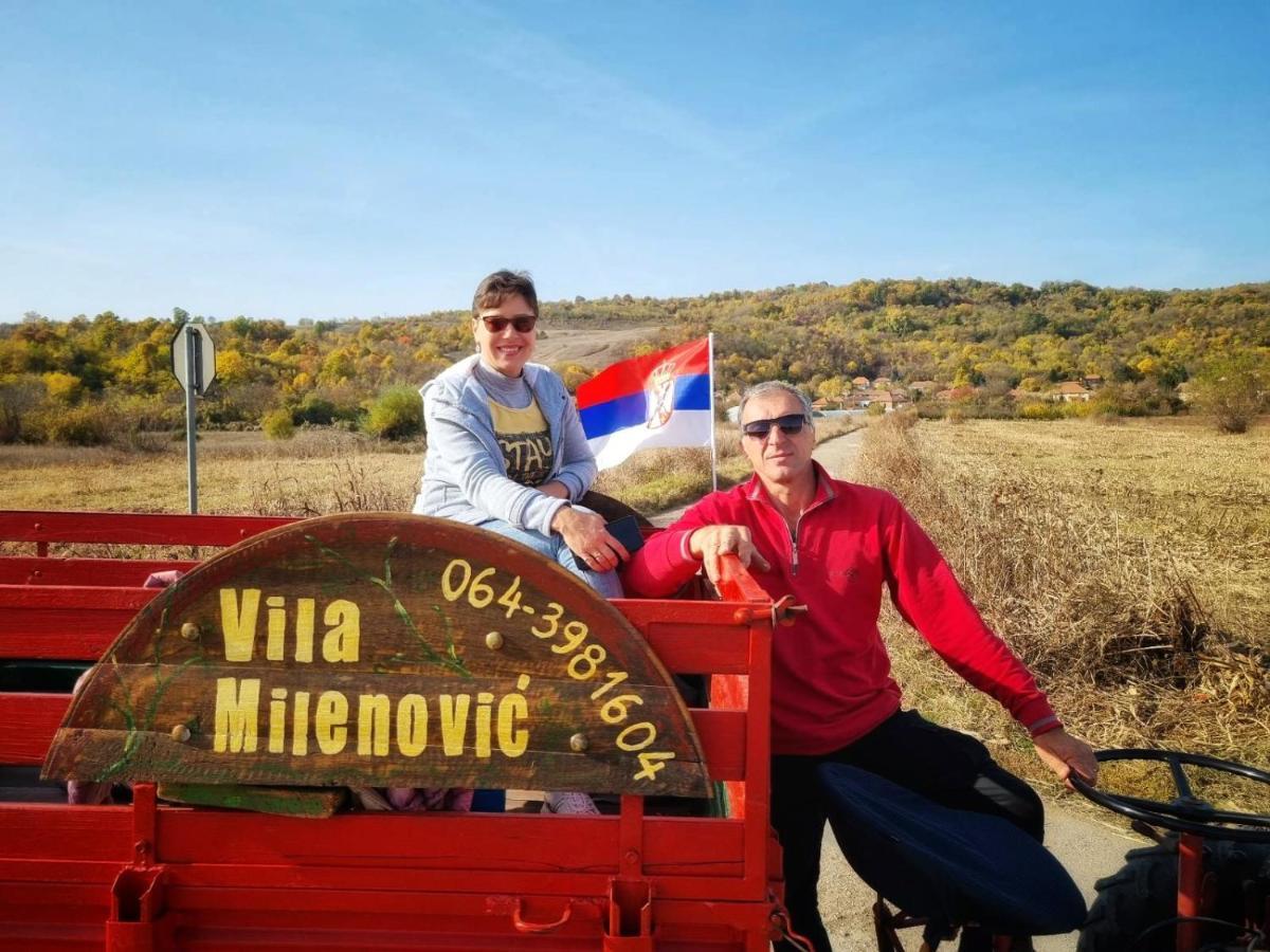 Vila Milenovic Rajacke Pivnice Esterno foto